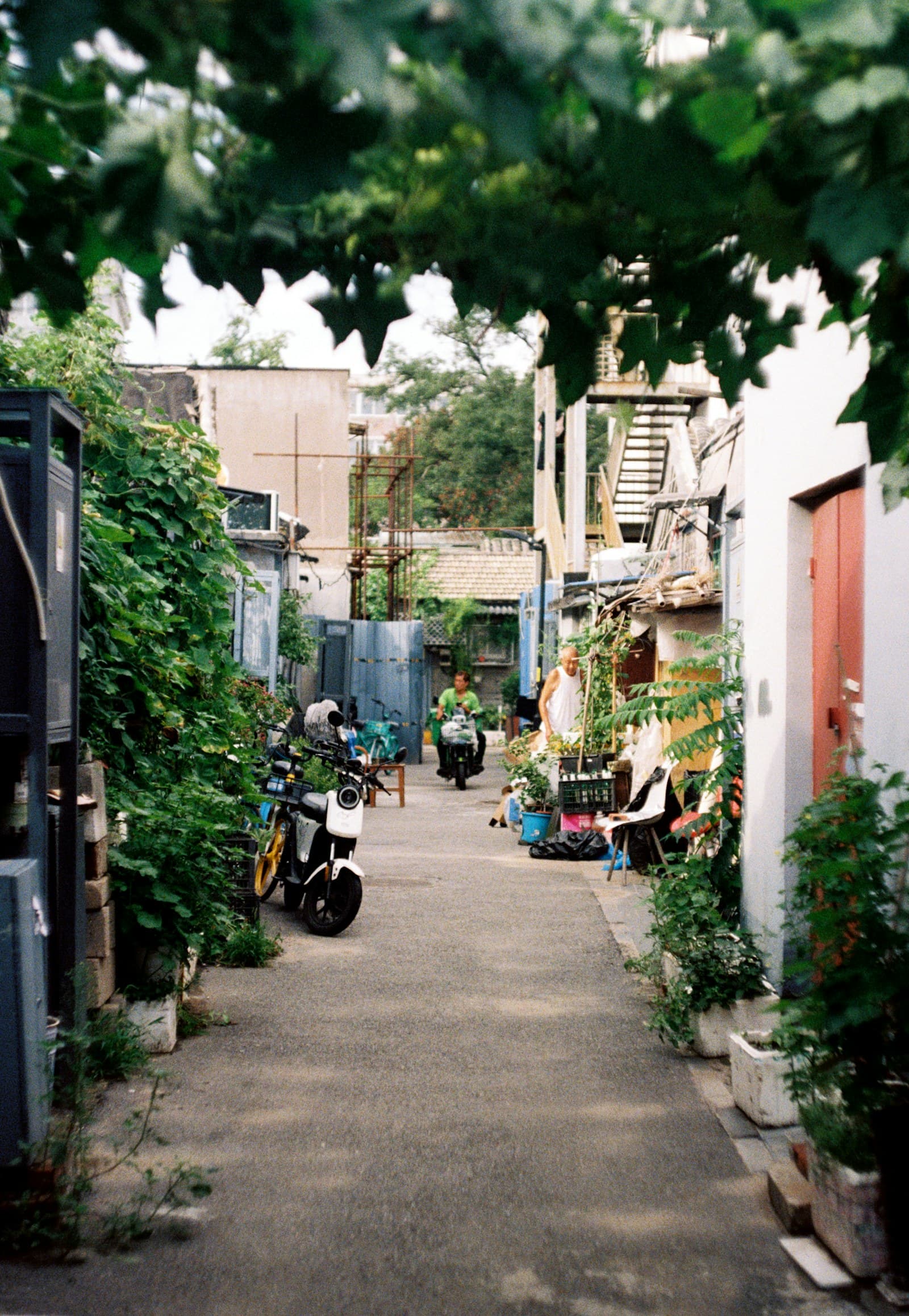 A traditional hutong alley in Beijing