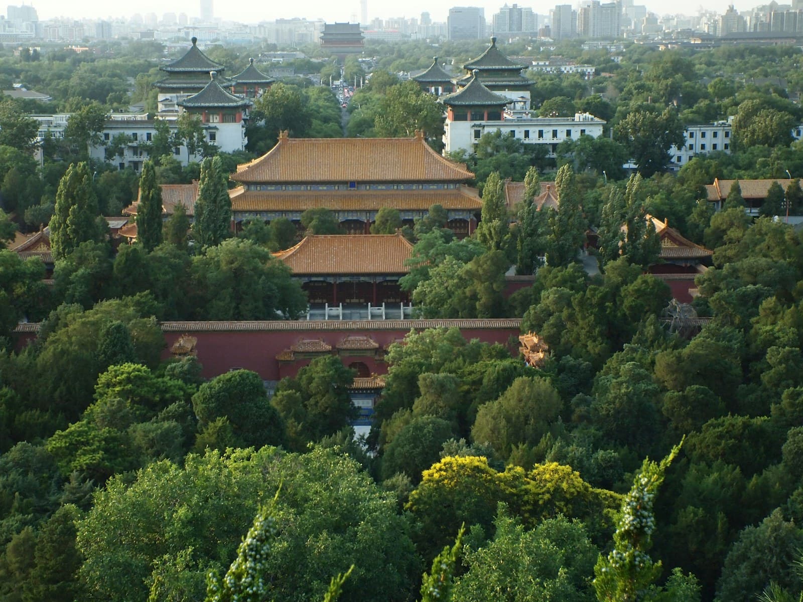 The Forbidden City seen through trees from Jingshan Park