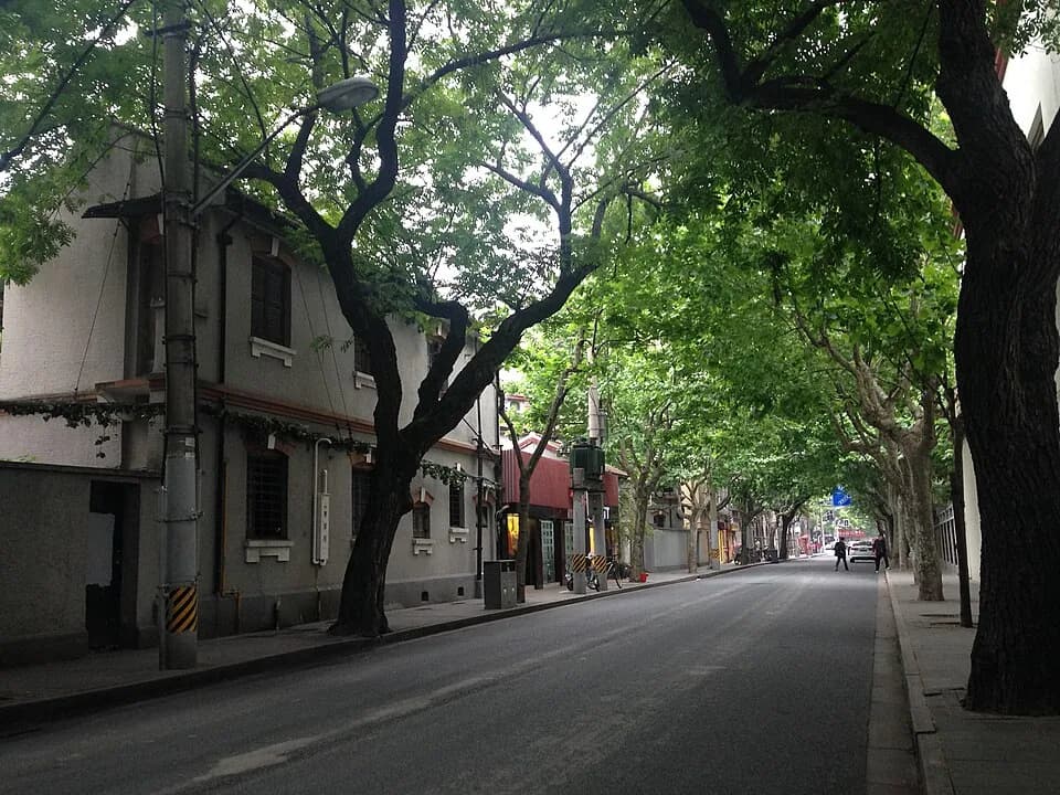 Historic buildings and plane trees in Shanghai's former French Concession